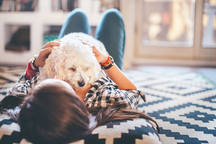 A young child playing with their dog on a custom rug.
